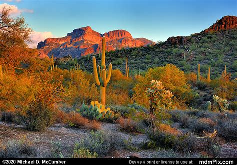 Sonoran Desert Sunset Color at Superstition Wilderness Picture ...