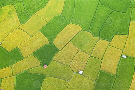 Aerial view of the green and yellow rice field 2305092 Stock Photo at ...