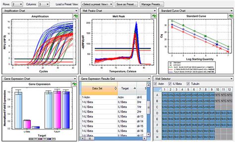 How to interpret real time pcr results