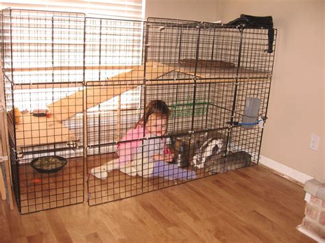 Diy Bunny Cage Ideas : My boyfriend's dad built this for my Holland lop ...