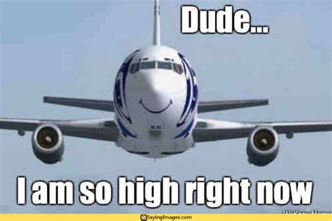 20 Airplane Memes That Will Leave You Laughing for Days - SayingImages ...