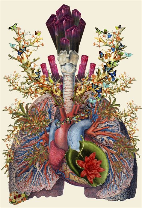 Exposing the Formless in the Human Form: guts