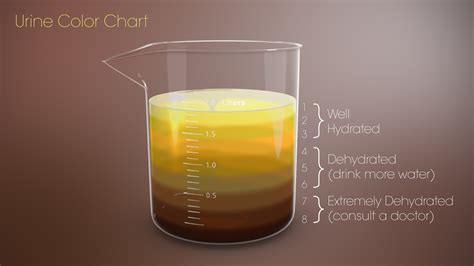 Urine Color Chart - Scientific Animations