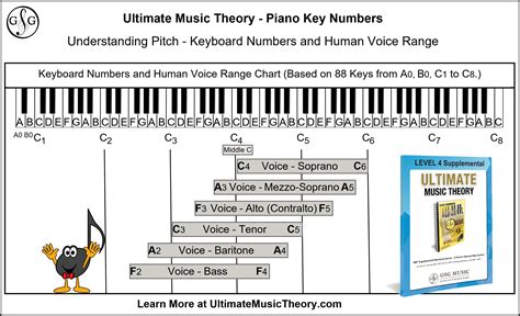 Piano Keys Labeled Numbers