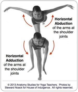 Horizontal Abduction and Adduction | Anatomy and physiology, Yoga ...