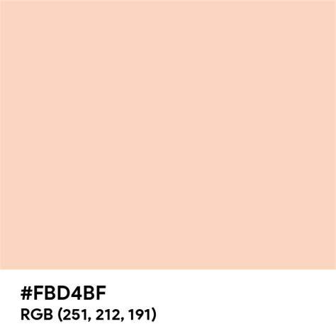 Pale Apricot color hex code is #FBD4BF