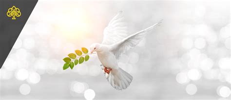 Peace in the Quran: the Priority and Importance of Peace – islam4u