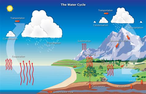 Grade 8 French Immersion Blog : Water Cycle Image + Video