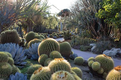 8 Cactus Gardens in L.A. for Succulent Obsessives