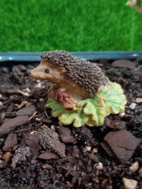 Miniature Garden Mini Hedgehog on Leaves Height 1 Inch | Etsy