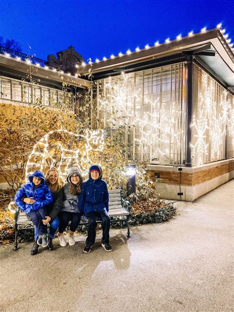 6 Things To Know About The Bronx Zoo Holiday Lights Exhibit