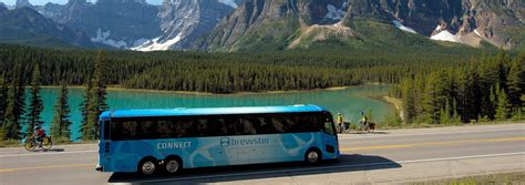 Airport Shuttles - Discover Banff Tours