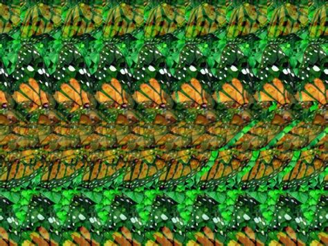 3d stereograms - Google Search | Cool optical illusions, Illusions ...