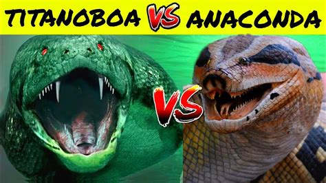 Anaconda Vs Titanoboa | क्या हो अगर amazon के एनाकोंडा का मुकाबला ...