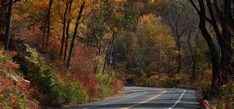 Mohawk Trail State Forest Campground, Massachusetts | Roadtrippers