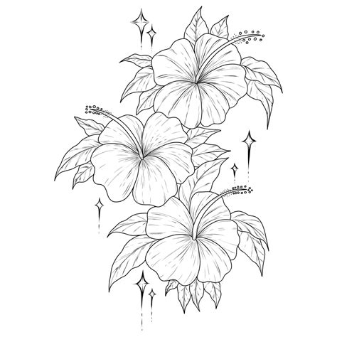 Hibiscus Flower Outline Drawing Black And White Lineart, Flower Drawing ...