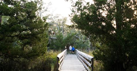 Camping at Edisto Beach State Park, Edisto Island, South Carolina