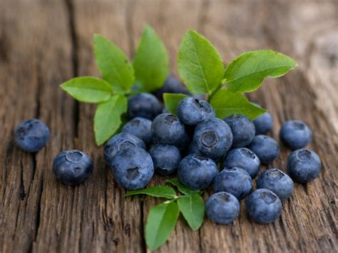 18 Wonderful Bilberry Benefits for Skin, Hair and Health