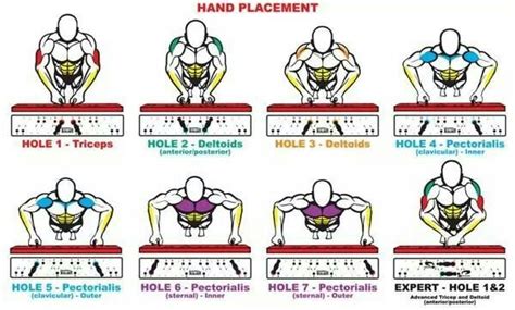 pushup variations | Bar workout, Push up variations, Push up muscles