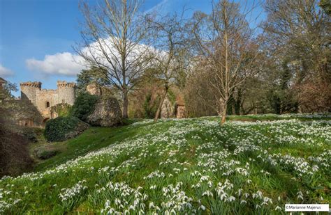 Benington Lordship Gardens