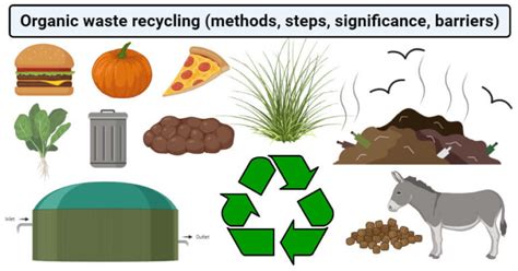 Organic Waste Recycling (Methods, Steps, Significance, Barriers ...