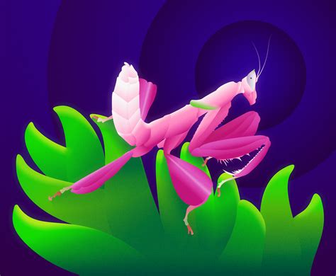 Orchid Mantis :: Behance