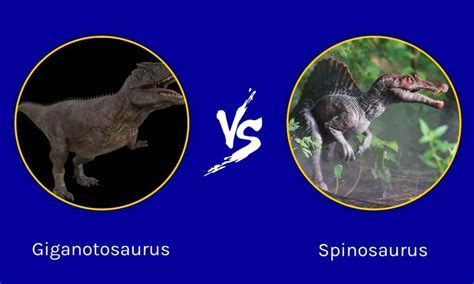 Giganotosaurus vs Spinosaurus: Who Would Win in a Fight? - A-Z Animals