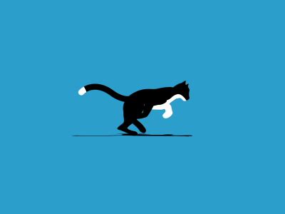 Cat Running Gif Animated - anonimowa-na-zawsze