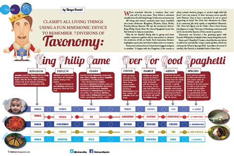 Biology-Taxonomy: CLASSIFY ALL LIVING THINGS USING A FUN MNEMONIC ...