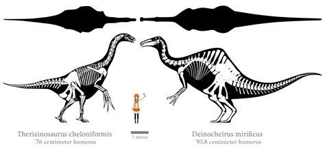 Deinocheirus mirificus vs. Therizinosaurus cheloniformis | The World of ...