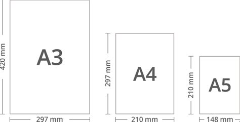 Paper Sizes and Formats, the Difference Between A4 and Letter (2024)