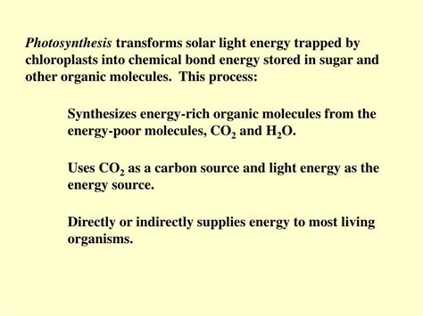 PPT - Chapter 10 Photosynthesis PowerPoint Presentation, free download ...