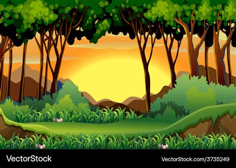 Forest Royalty Free Vector Image - VectorStock