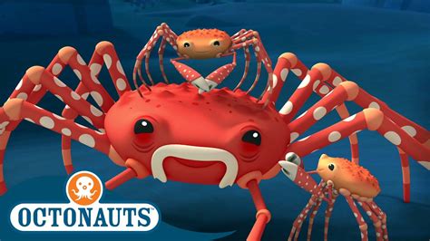 @Octonauts - The Spider Crab | Full Episode 45 | Cartoons for Kids ...