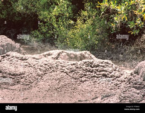 mud pools in Te Puia, New Zealand Stock Photo - Alamy