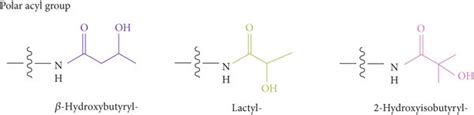 The structure and classification of acyl groups. Acyls are divided into ...