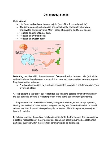 Cell Biology Stimuli - Cell Biology: Stimuli Multi stimuli: Life forms ...