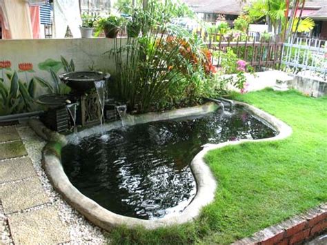 Koi Pond Maintenance | Koi Fish Care Info