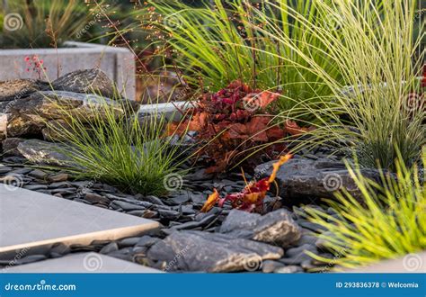 Rockery Garden Design with Colorful Plants and the Pathway Stock Photo ...