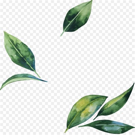 Free Leaf Png Transparent, Download Free Leaf Png Transparent png ...