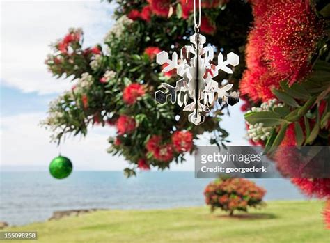 3,471 New Zealand Christmas Stock Photos, High-Res Pictures, and Images ...