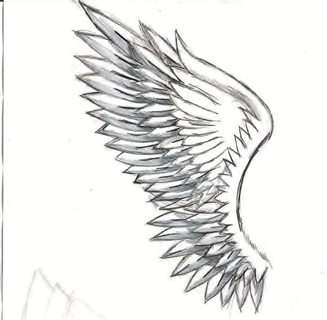 wing drawing by SnowblazeAdminD on Newgrounds