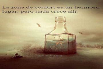 Top 43+ imagen sal de tu zona de confort frases - Abzlocal.mx