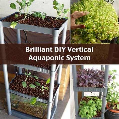 13 DIY Aquaponics Systems to Suit Any Budget