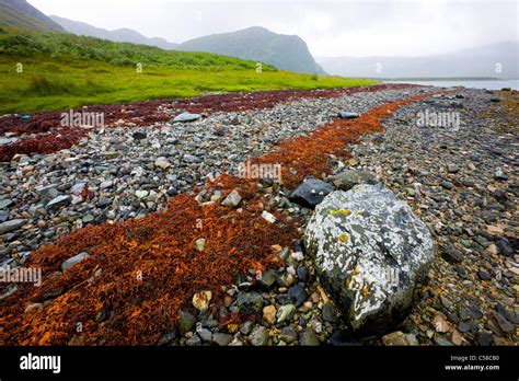 Loch Eriboll, Great Britain, Scotland, Europe, sea, coast, tides, low ...