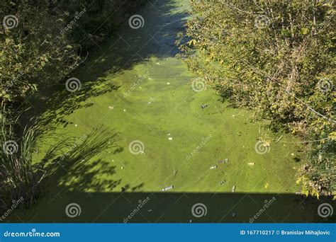 Polluted stream stock image. Image of pipeline, factory - 167710217