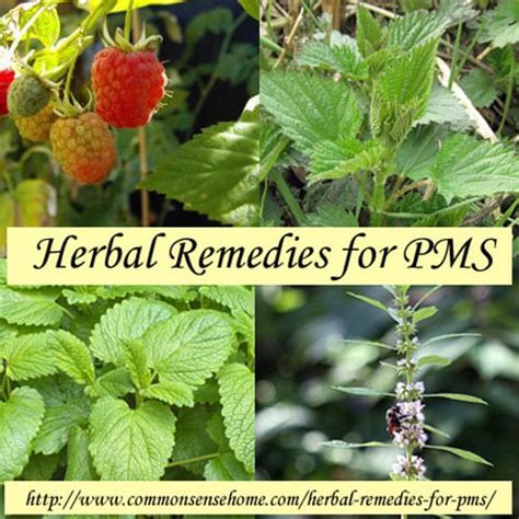 Herbal Remedies for PMS