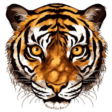 Tiger Eyes Clip Art