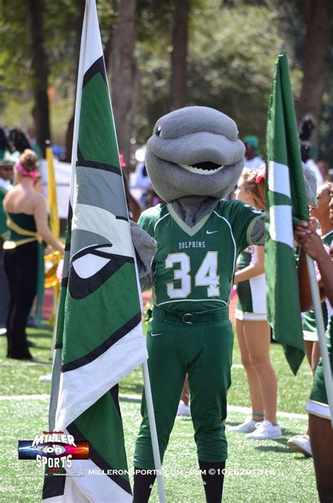 Jacksonville Dolphins mascot, Dunk'n Dolphin | Jacksonville university ...