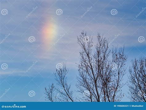 Sun Dog and Winter Trees stock image. Image of cirrus - 190606531